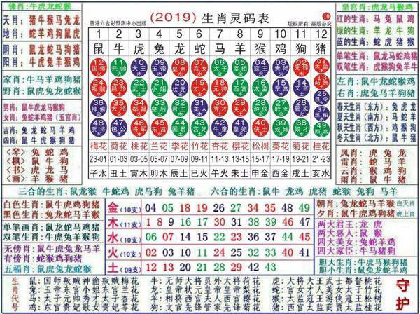 澳门正版资料大全资料生肖卡：澳门正版资料生肖特区卡_先进技术执行分析