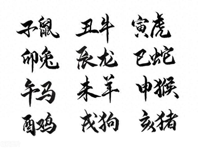 天字一发六可定打一准确生肖｜六字定生肖，一发准确天打_高效评估方法