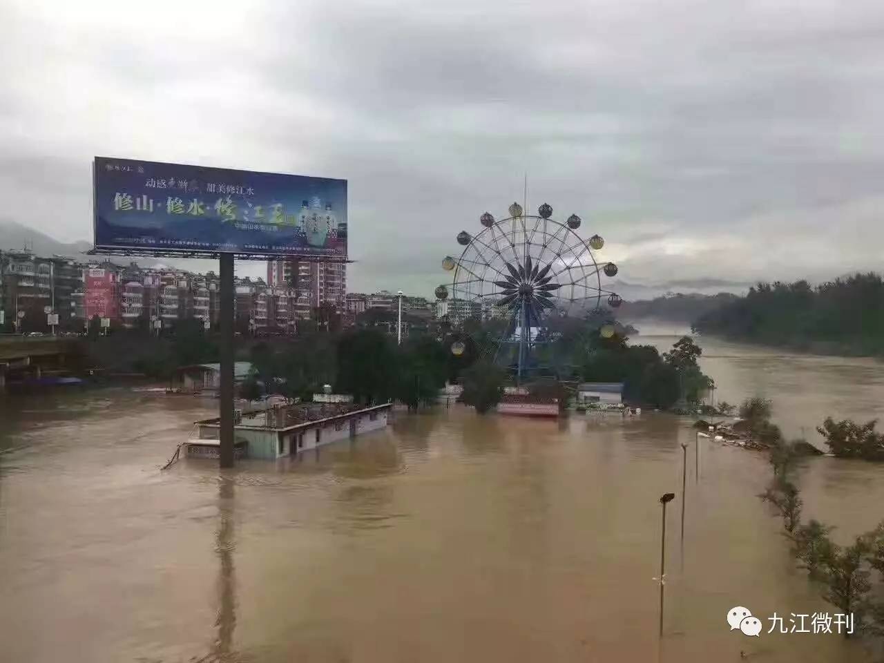 流水无情落花伤