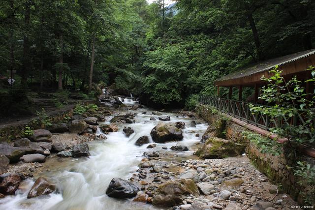 九龙沟风景区最新消息-喜讯连连九龙沟风景区焕新绽放