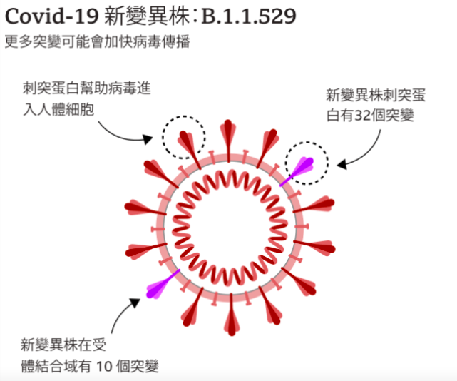 新冠疫苗新变异株动态解析