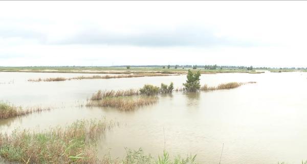 辽宁地区暴雨最新气象预测