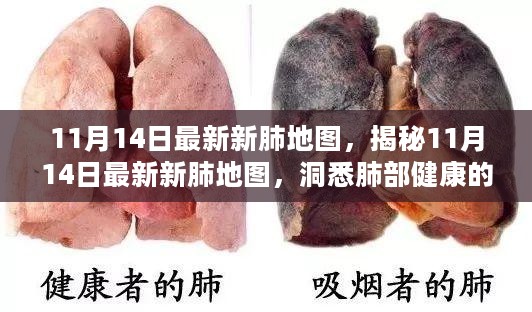 肺部健康地图，最新活力轨迹展现