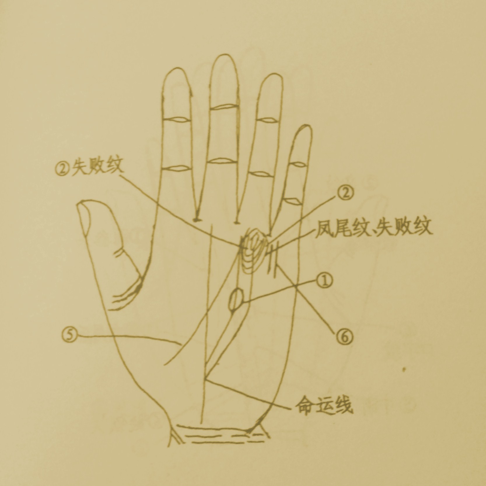 智慧解谜大师：天纹缠谜题揭晓新篇章