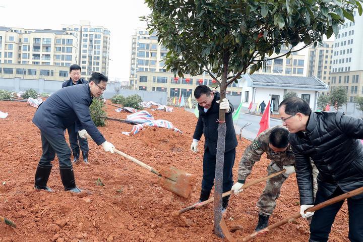 杭州钱江新城绽放新篇——热销楼盘盛宴