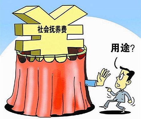 最新出炉：社会抚养费政策动态聚焦